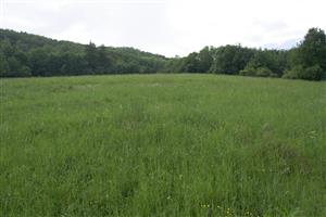 Celkový pohľad na lokalitu